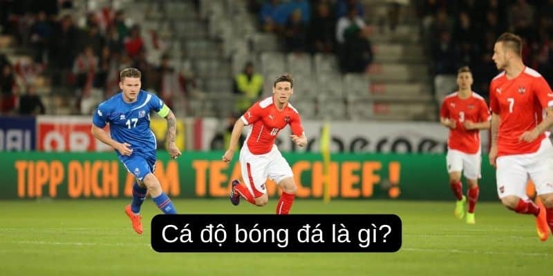 Cá độ bóng đá là gì?