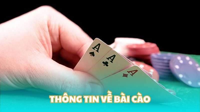 Thông tin về bài cào