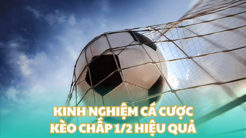 Kinh nghiệm cá cược kèo chấp 1/2 hiệu quả