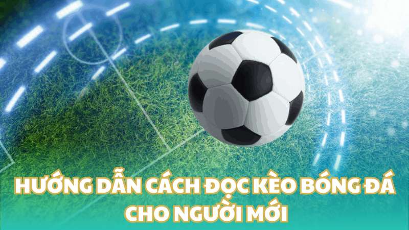 Hướng dẫn cách đọc kèo bóng đá cho người mới