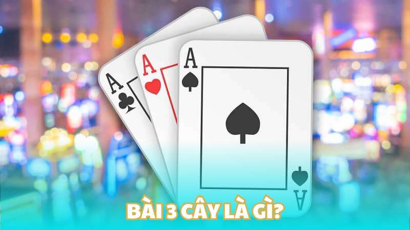 Tổng quan về bài 3 cây