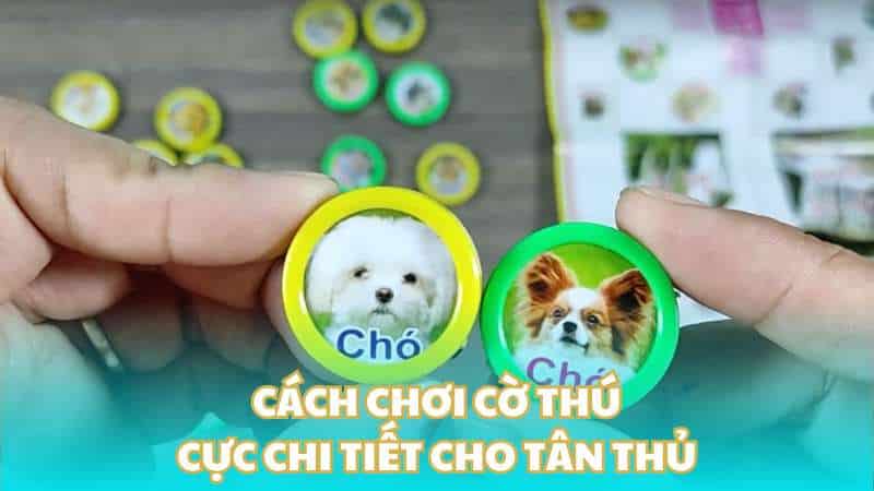 Cách chơi cờ thú cực chi tiết cho tân thủ