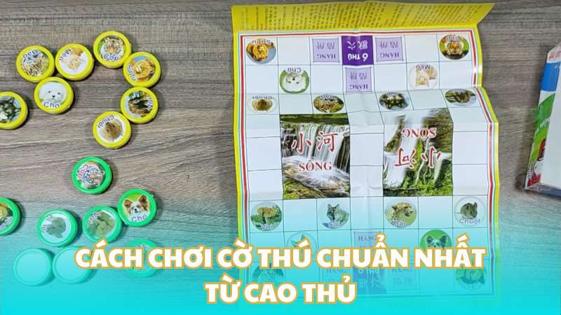 Cách chơi cờ thú chuẩn nhất từ cao thủ