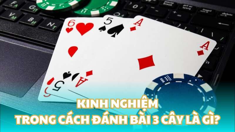 Kinh nghiệm trong cách đánh bài 3 cây là gì?