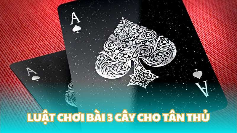 Luật chơi bài 3 cây cho tân thủ